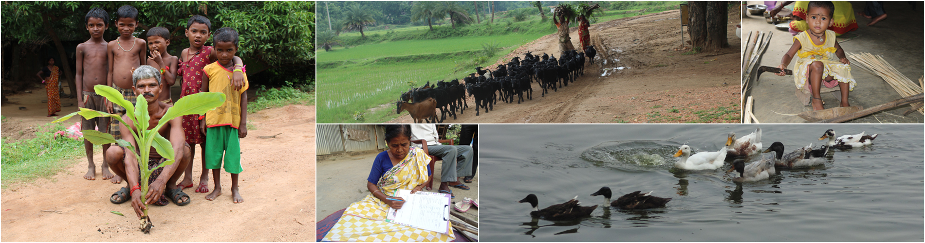 CENTRE FOR ENDANGERED LANGUAGES, VISVA-BHARATI